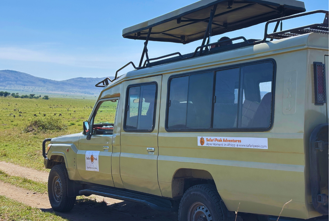 Safari vehicle