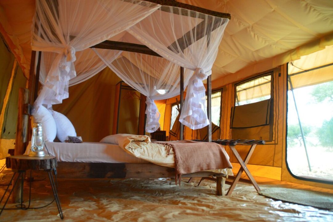 bao bab camp tarangire (1)