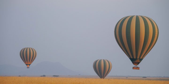 serengeti-ballon